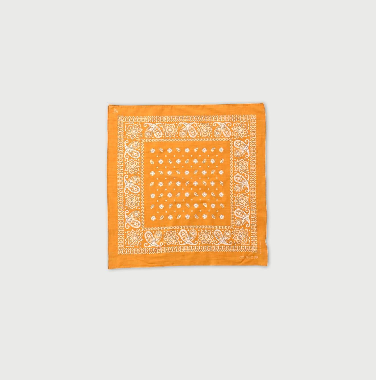Cross Paisley Bandana
