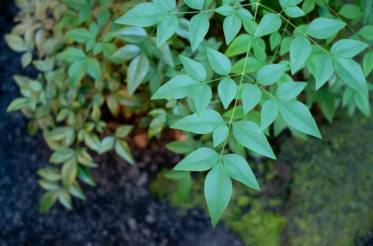 The Making of the Store