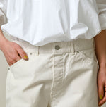 Duck Painter 908 Painter