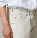 Duck Painter 908 Painter