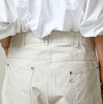 Duck Painter 908 Painter