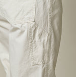 Duck Painter 908 Painter