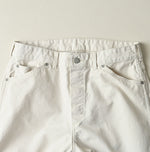 Duck Painter 908 Painter