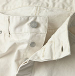 Duck Painter 908 Painter