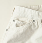 Duck Painter 908 Painter