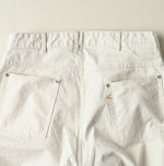 Duck Painter 908 Painter