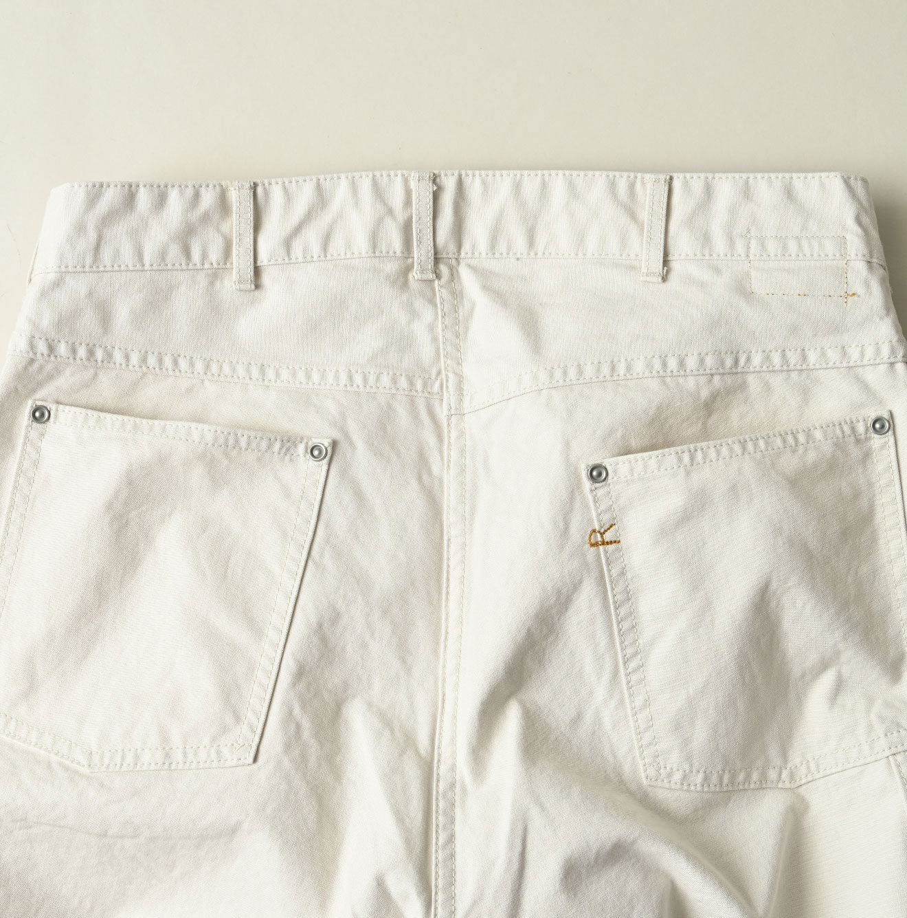 Duck Painter 908 Painter