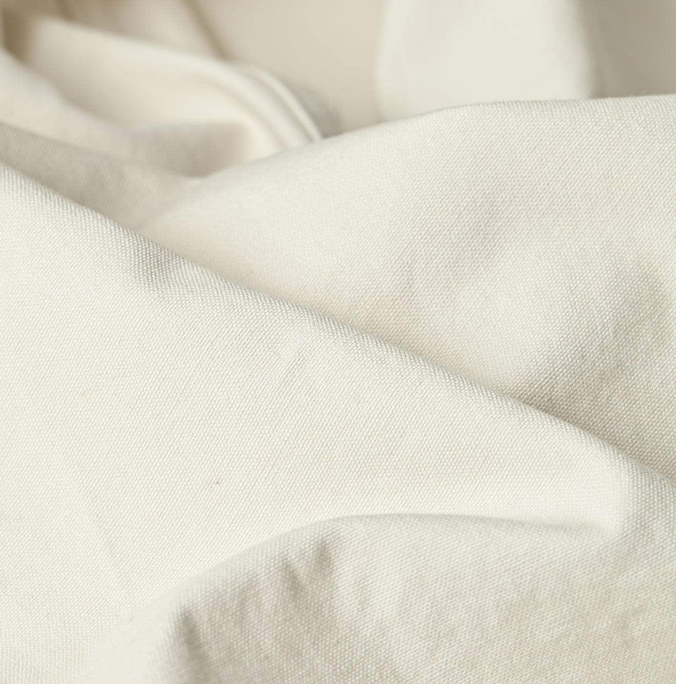 Duck Painter 908 Painter