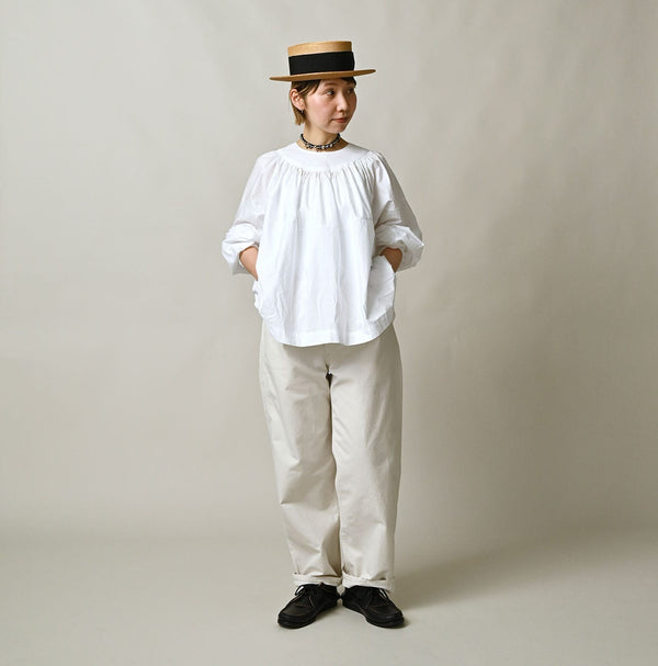 Duck Painter 908 Painter