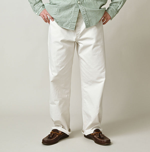 Duck Painter 908 Painter