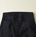 Indigo Duck Painter 908 Painter