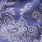 45R Supima Twill Candy Paisley Bandana