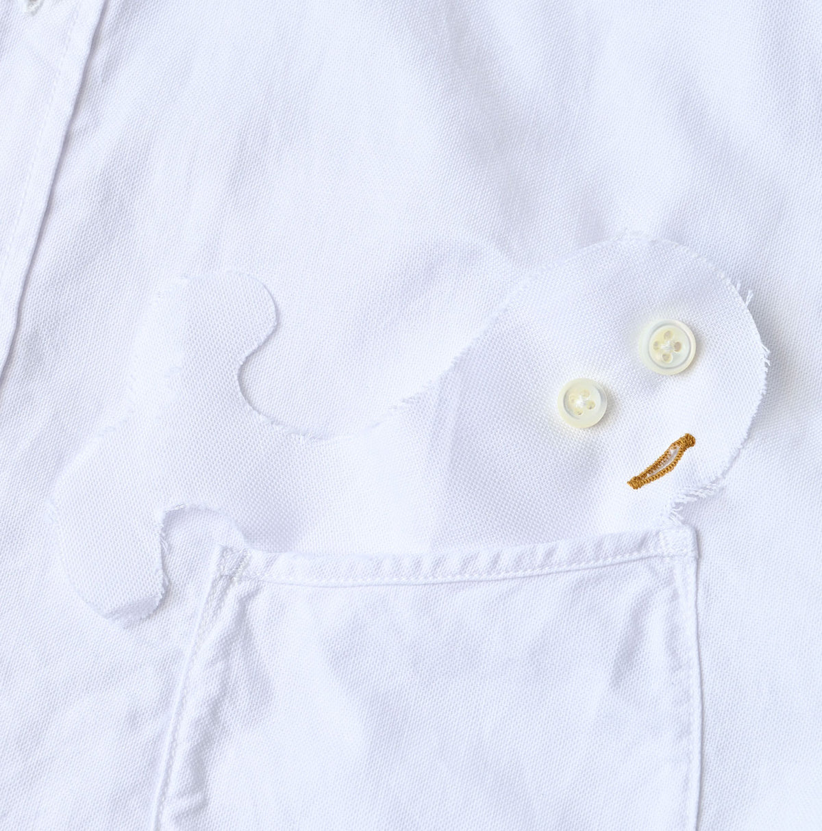 45R Supima Oxford 908 Wide Collar Shirt