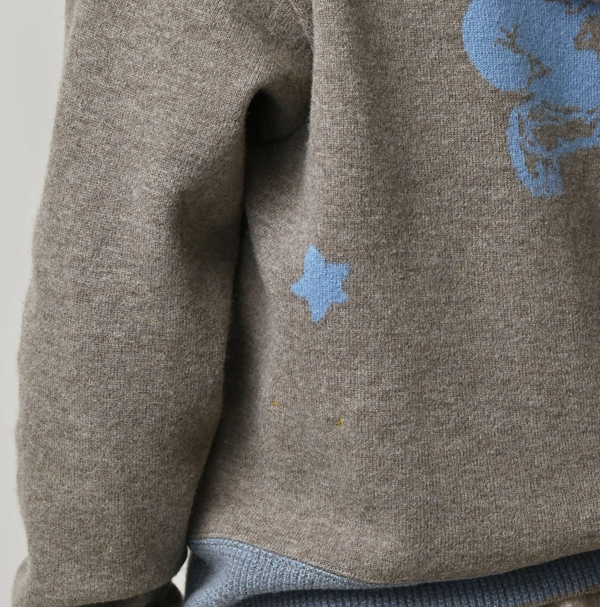 45R Float Felted Petit Hoodie