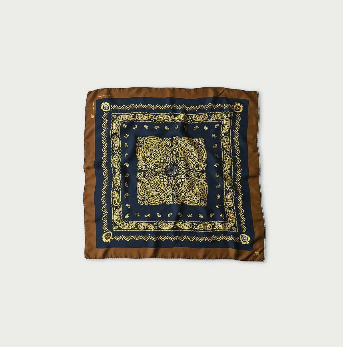 45R Silk Paisley Big Bandana