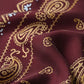 45R Silk Paisley Big Bandana