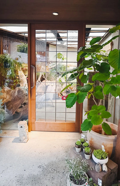 Hanadokoro Edozakura gallery image 6